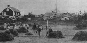 Hay-making on the meadow