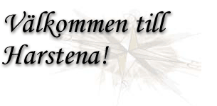 V�lkommen till Harstena!
